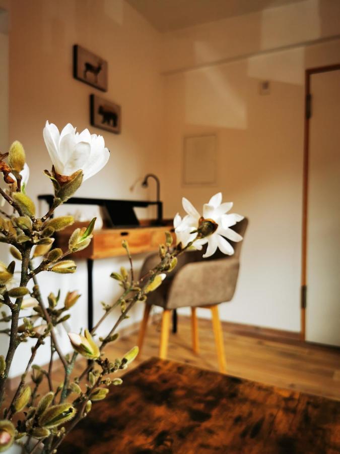 Appartement Haselnuss à Ilsenburg Extérieur photo